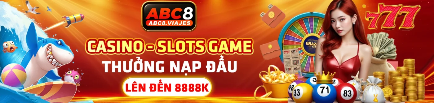 banner abc8