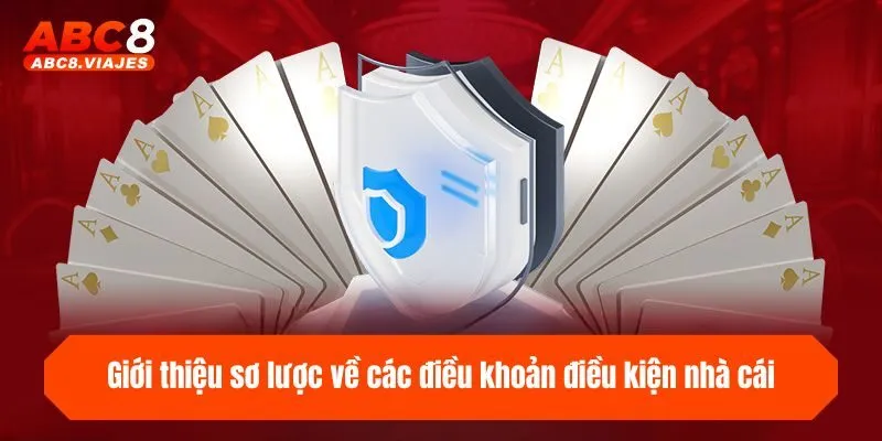 Giới thiệu sơ lược về các điều khoản điều kiện nhà cái